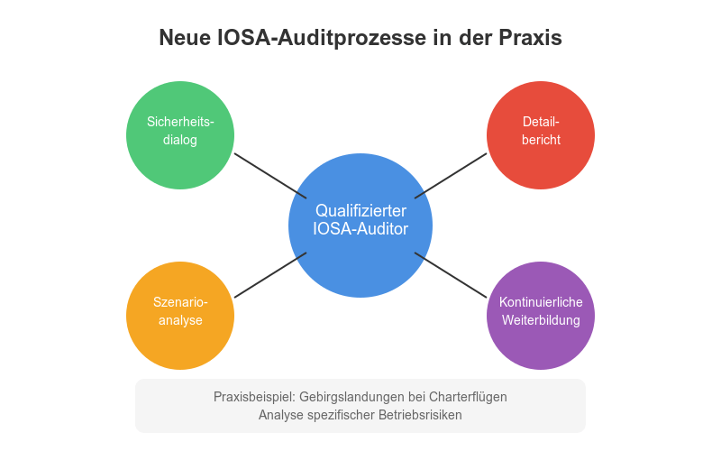 Neue IOSA Auditprozesse Praxis - Infografik