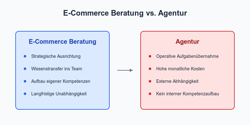 E-Commerce Beratung vs Agentur - Infografik